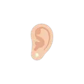 Stud Earrings option in Lody