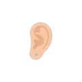 Ear Lobe option in Lody