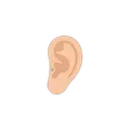 Tragus option in Lody