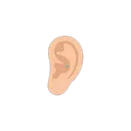 Conch option in Lody