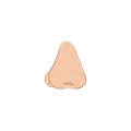Nose Stud option in Lody
