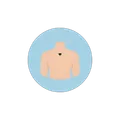 Upper Back option in Lody